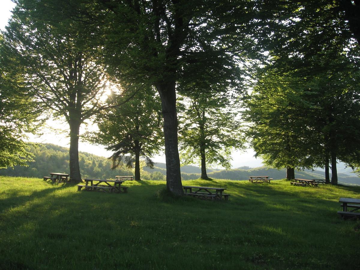 Albergo Rifugio Montecucco Piampaludo ภายนอก รูปภาพ